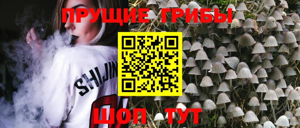 Галлюциногенные грибы Cubensis Будённовск
