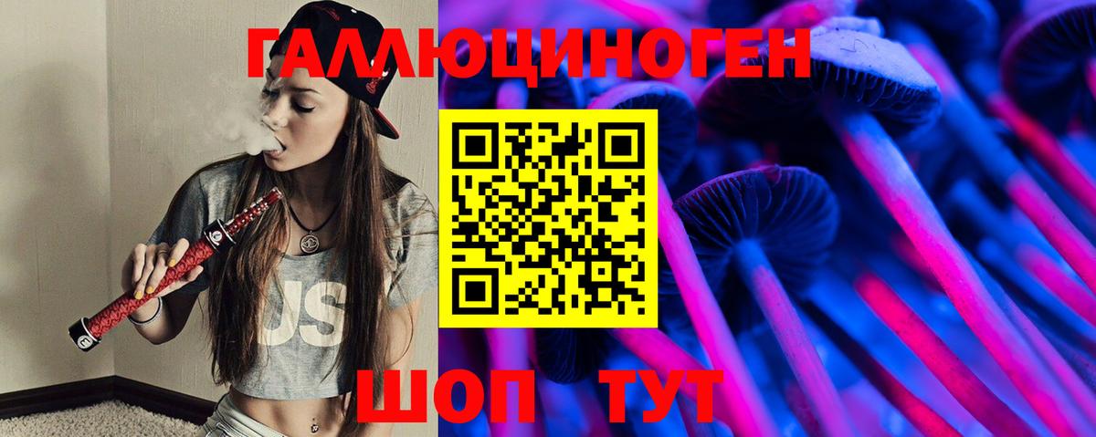 Будённовск  Галлюциногенные грибы прущие грибы  где можно купить наркотик  Вход с VPN 